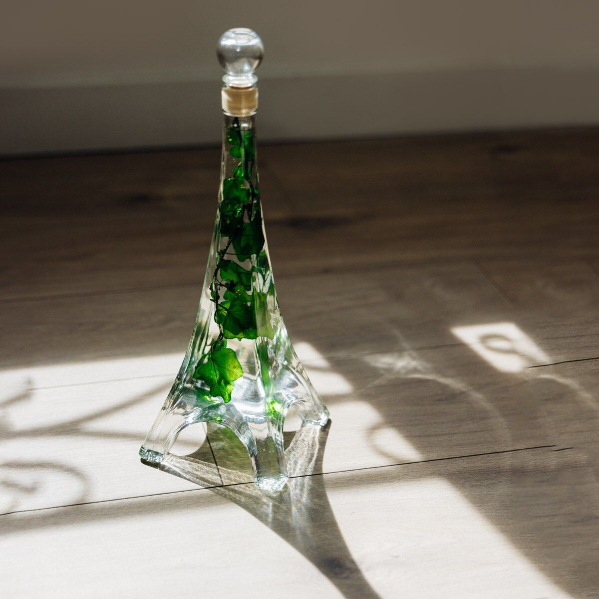 L’Herbarium de Théophile – Tour Eiffel Paris - Lierre Hélix vert