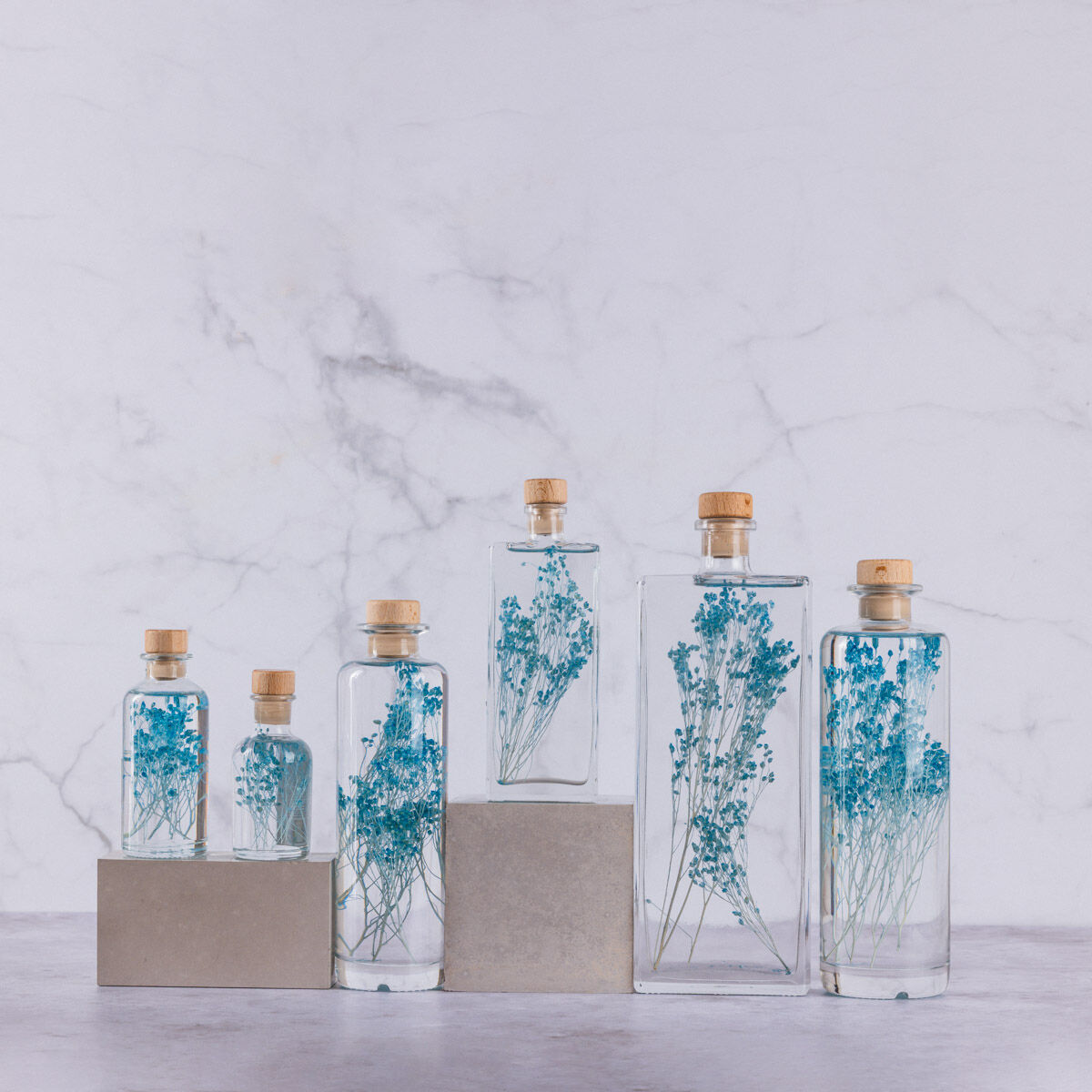 Théophile's Herbarium - Broom bloom Turquoise - submerged plant