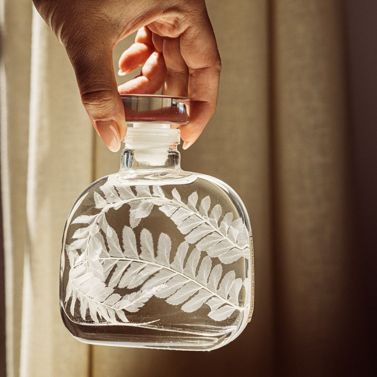 Submerged Plant Theophile's Herbarium - Botanical Capsule - White Leather Fern