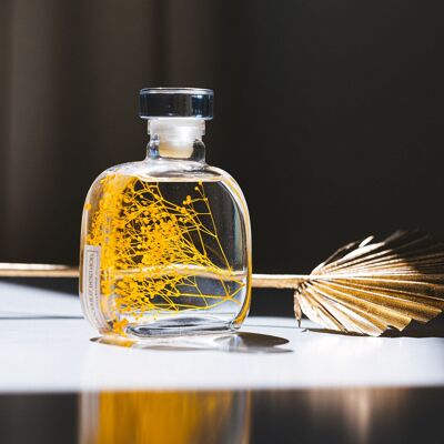 Submerged Plant Theophile's Herbarium - Botanical Capsule - Saffron Gypsophila