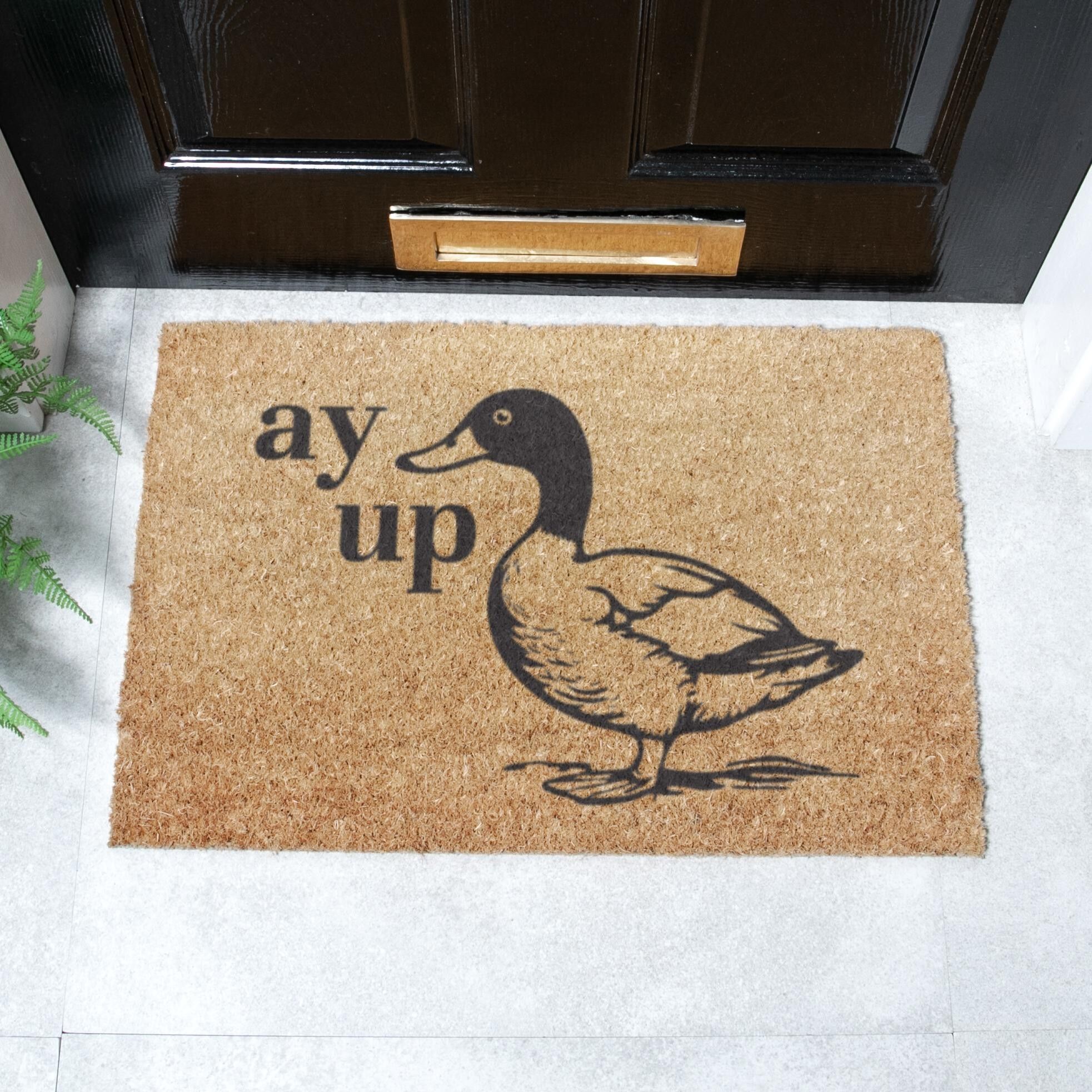 Ay Up Enten-Fußmatte (60 x 40 cm)