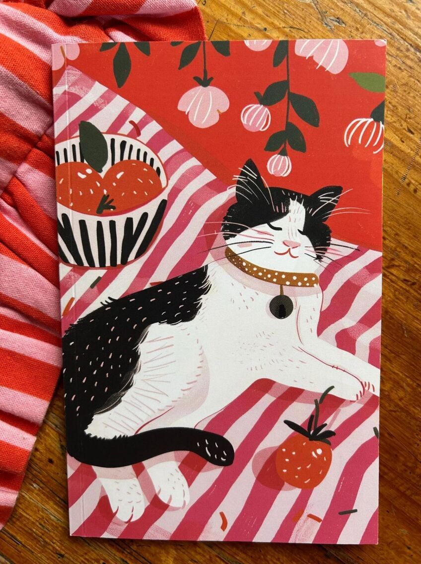 Set of 5 notebooks – Black & white cat under the fruit 🍊🍓