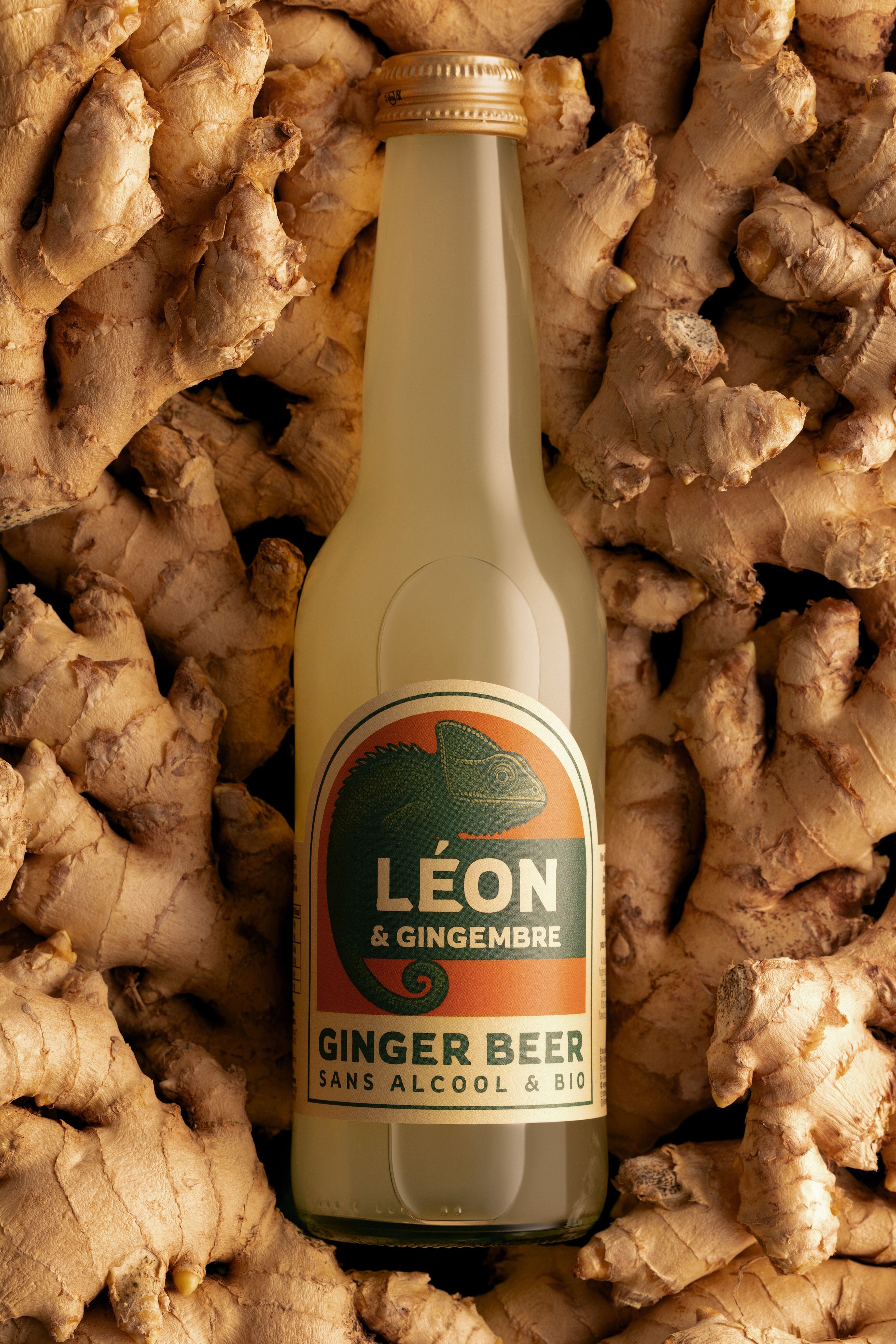 Léon & Gingembre - Ginger Beer - Bottiglia da 33 cl