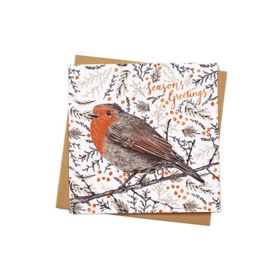 Robin Christmas Card
