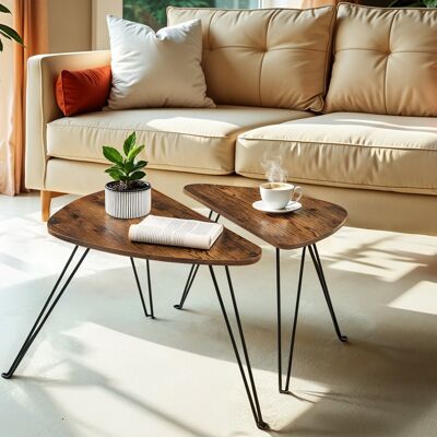 Ensemble de 2 tables d'appoint, tables d'appoint, tables basses pour salon, salle à manger, chambre, 60 x 38 x 47.5 cm (L x l x H) - Dimensions de la petite table basse : 52 x 31.5 x 42.5 cm