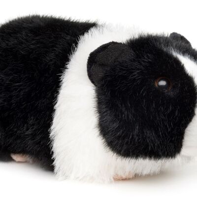 Cochon d'Inde (noir et blanc) - 21 cm (longueur) - Mots-clés : animal de compagnie, peluche, animal en peluche, jouet doux
