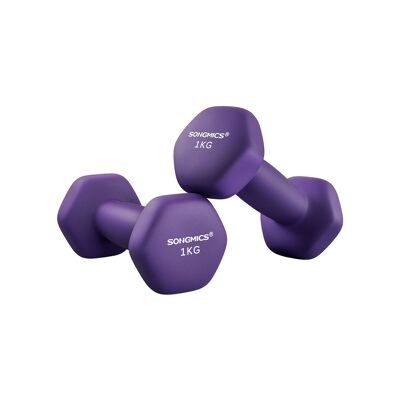 Set di 2 manubri viola, 2 x 1.5 kg, arancione, 7 x 15 cm