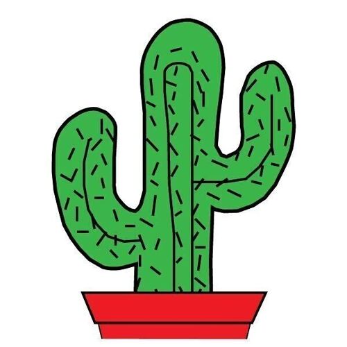 Eponge de menage cca10-cactus