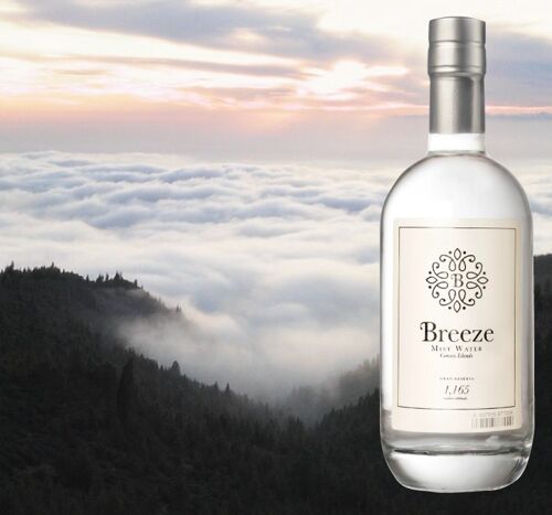 BREEZE Eau des nuages plate 50cl verre perdu