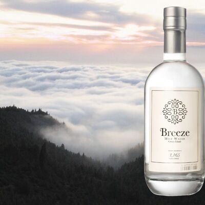 BREEZE Eau des nuages plate 50cl verre perdu