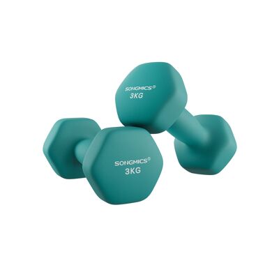 Set di 2 manubri, verde scuro, 2 x 1.5 kg, arancione, 7 x 15 cm