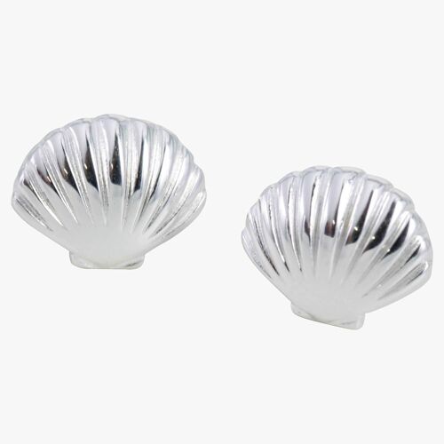 Scallop Shell Stud earring