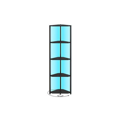 5-stöckiges Eckregal mit LED-Beleuchtung, Ebenholzschwarz, 24.8 x 48 x 146.6 cm