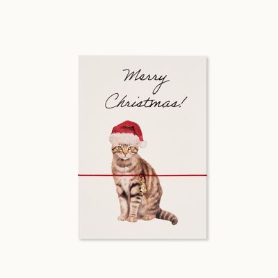 Biglietto braccialetto: Buon Natale Gatto