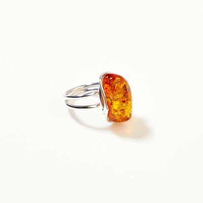 Anello di marea in ambra