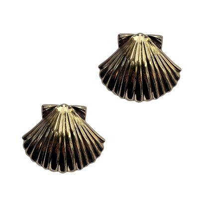 SHELL CLIPS CORAL BEACH (una coppia)