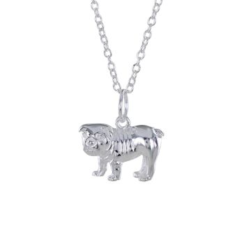 Collier de chien de taureau britannique 1