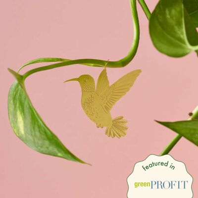 Plante Animal Colibri
