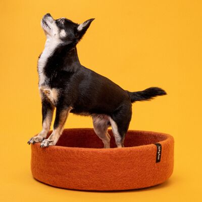 Panier pour chien en feutre Lora - 40 cm