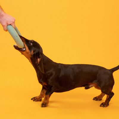 Jouet en feutre pour chien - anneau