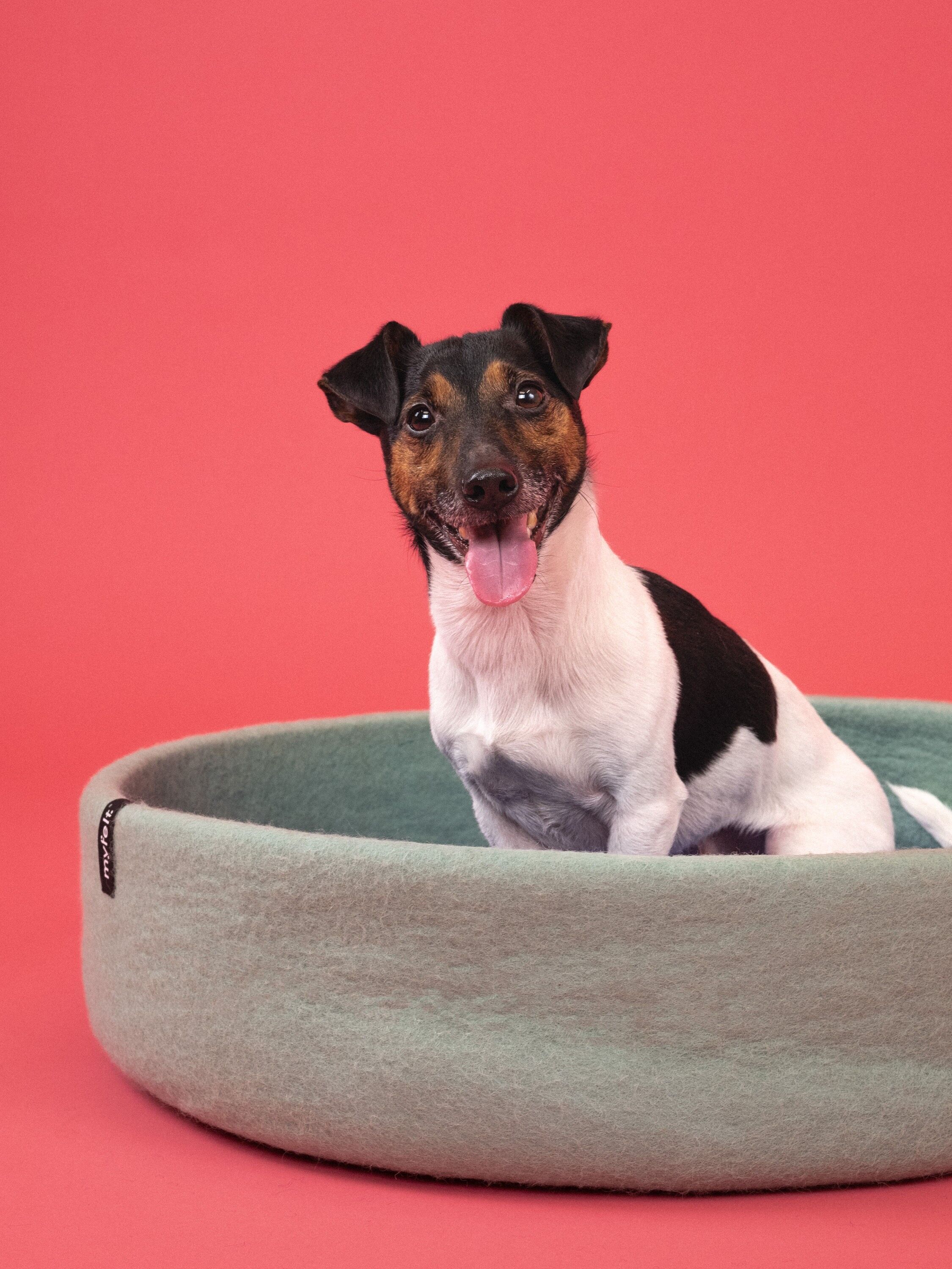 Cesta para perros de fieltro fino - 60 cm