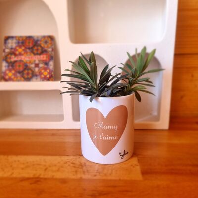 Maceta de cerámica "Mamy te amo"