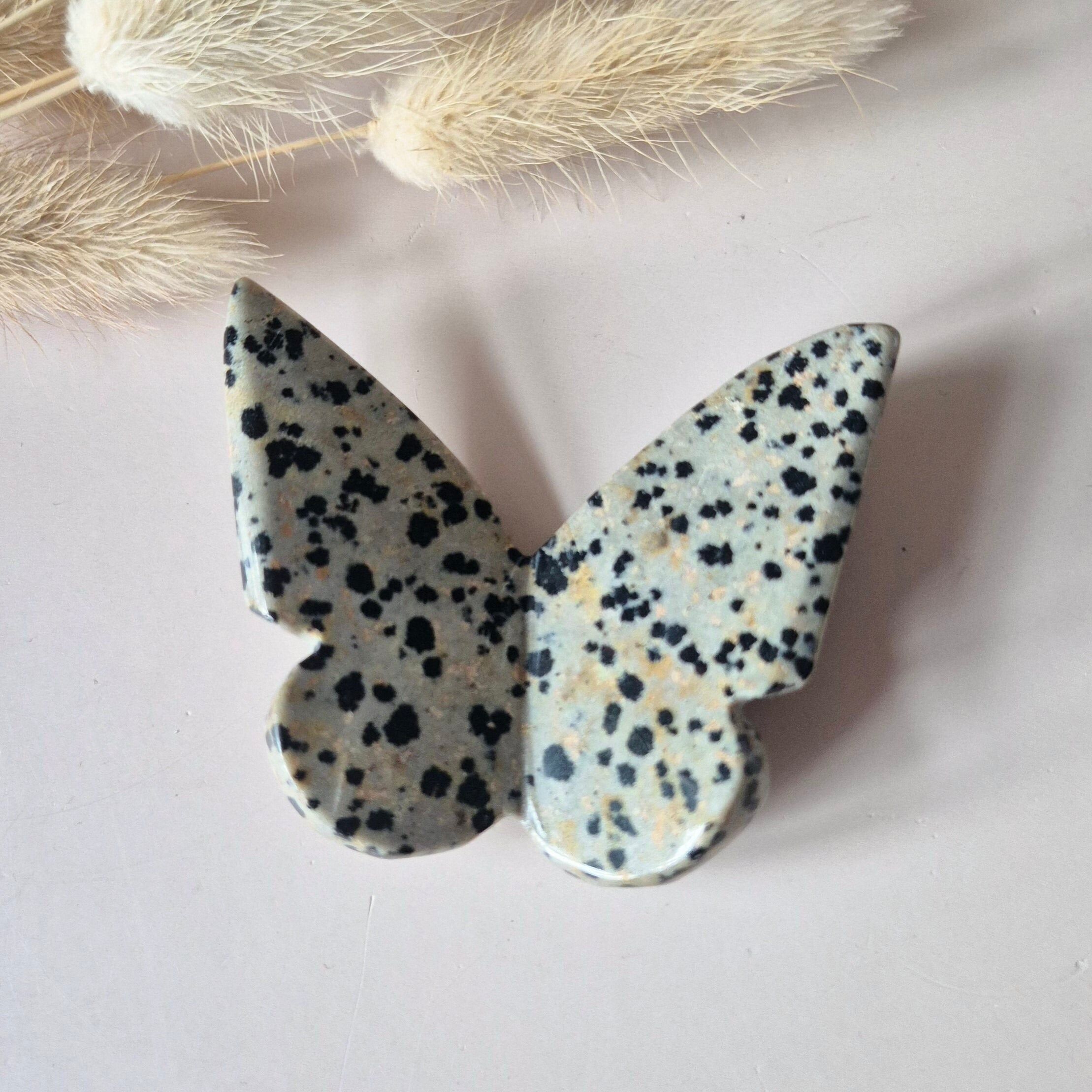 Papillon en pierre précieuse 6x5 cm – Jaspe Dalmatien