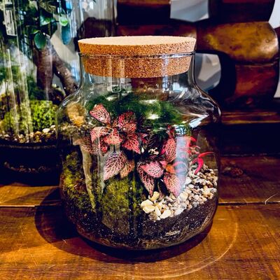 Jar par défaut