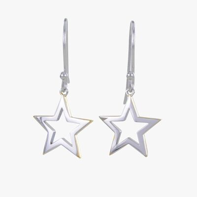 Shadow Star Earrings