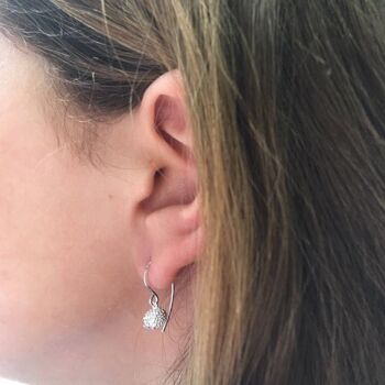 Boucles D'oreilles Hérisson 9