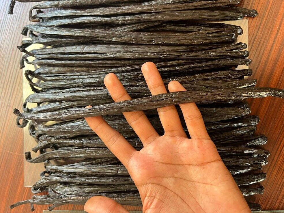 3Kg Madagascar Bourbon Vanilla "Gourmet" Quality 16/18 cm