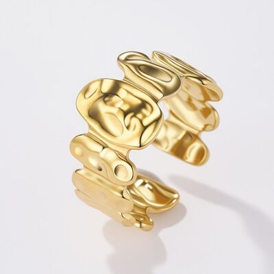 Anello in acciaio inossidabile 424RX254