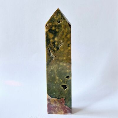 Pierre précieuse Ocean Jasper Tower #1 - 256 g