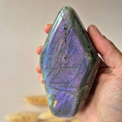 Labradorite forme libre 360 g – Magnifiques reflets violets et bleus | Pierre précieuse protectrice