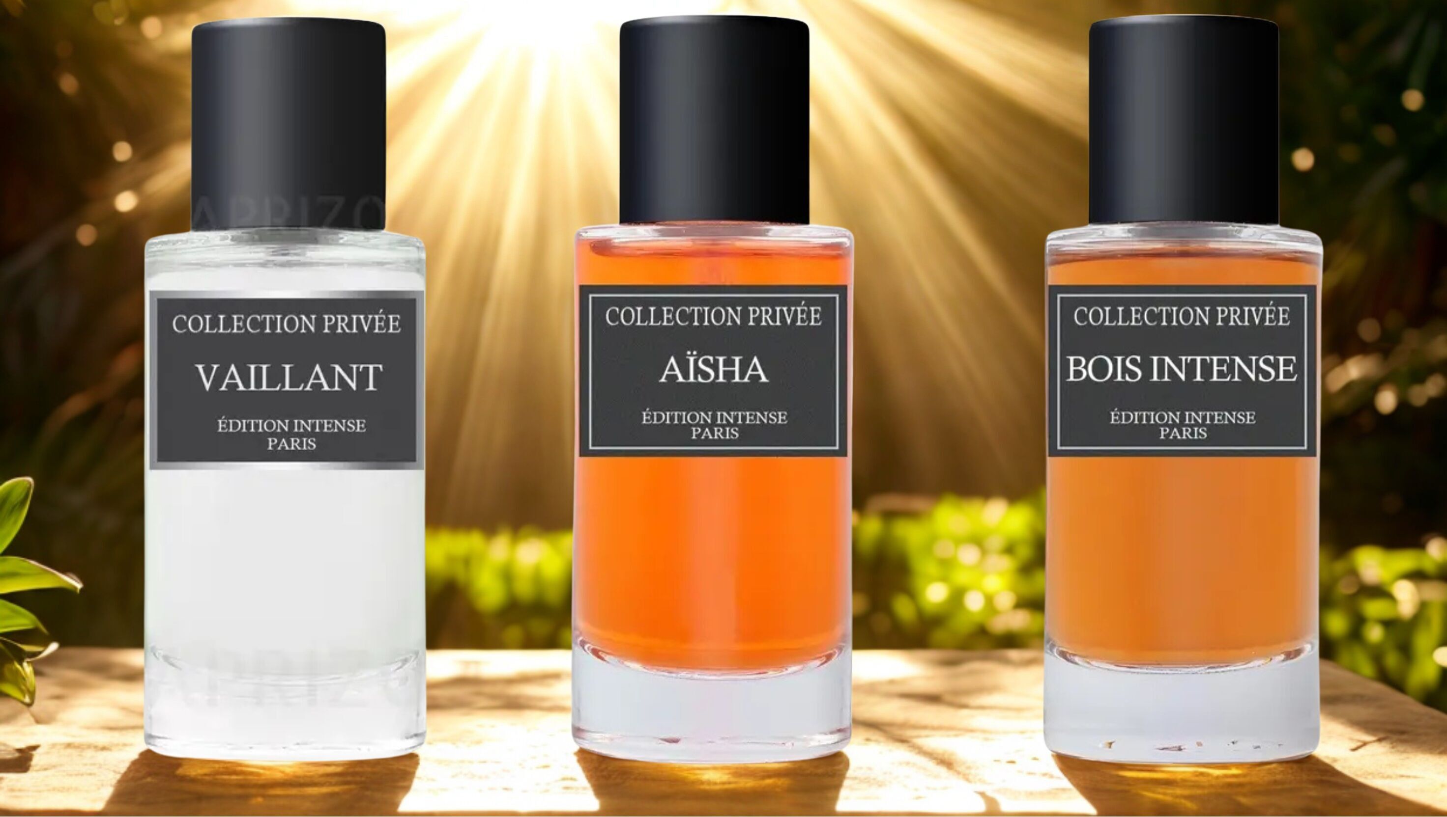 🔥 Confezione Collezione Privata – Vaillant + Aïsha + Bois Intense (3 x 50 ml)