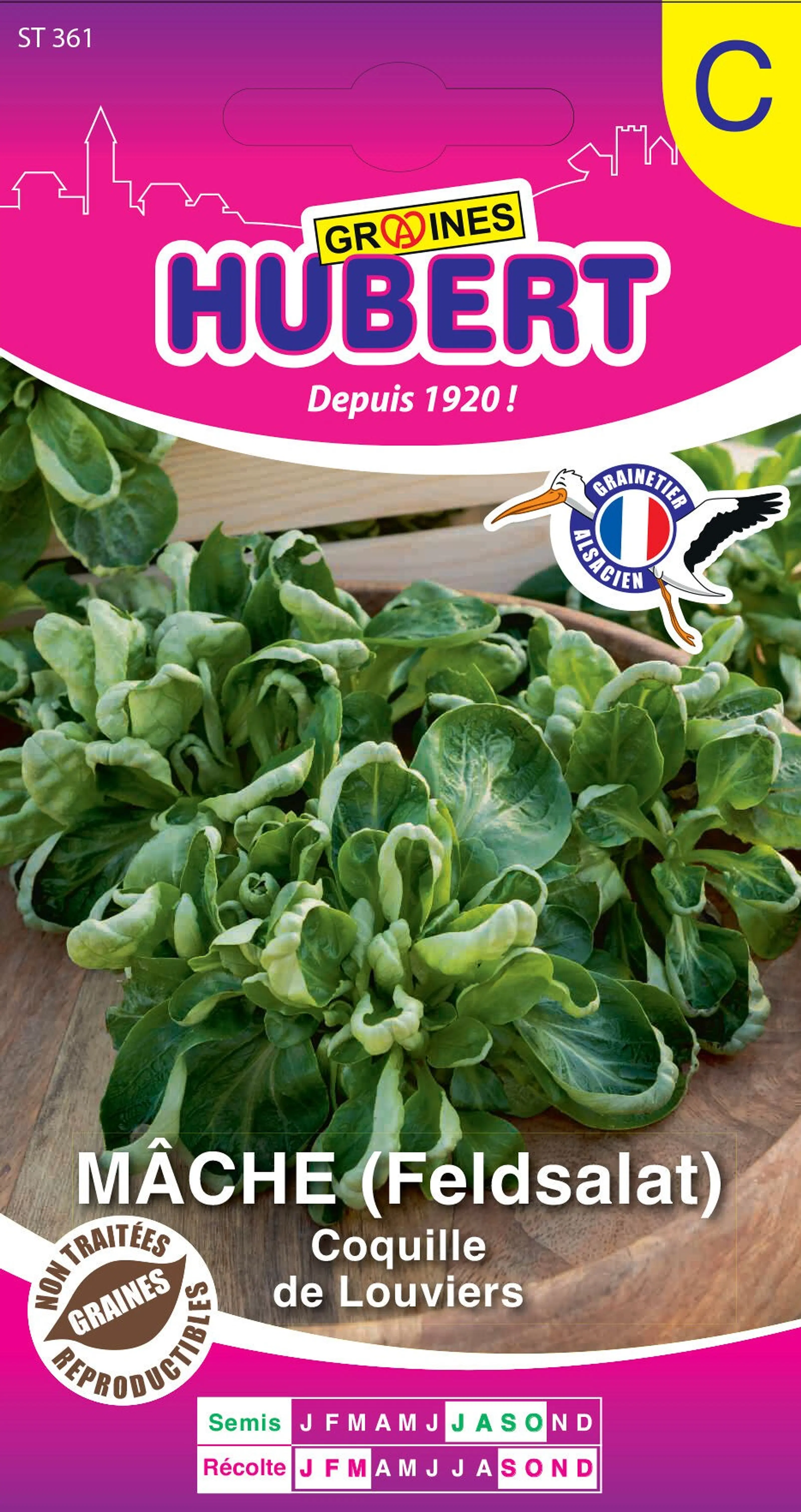 Lamb Shell Buy wholesale Lamb's Lettuce Seeds - Louviers Shell - 4 gram bag