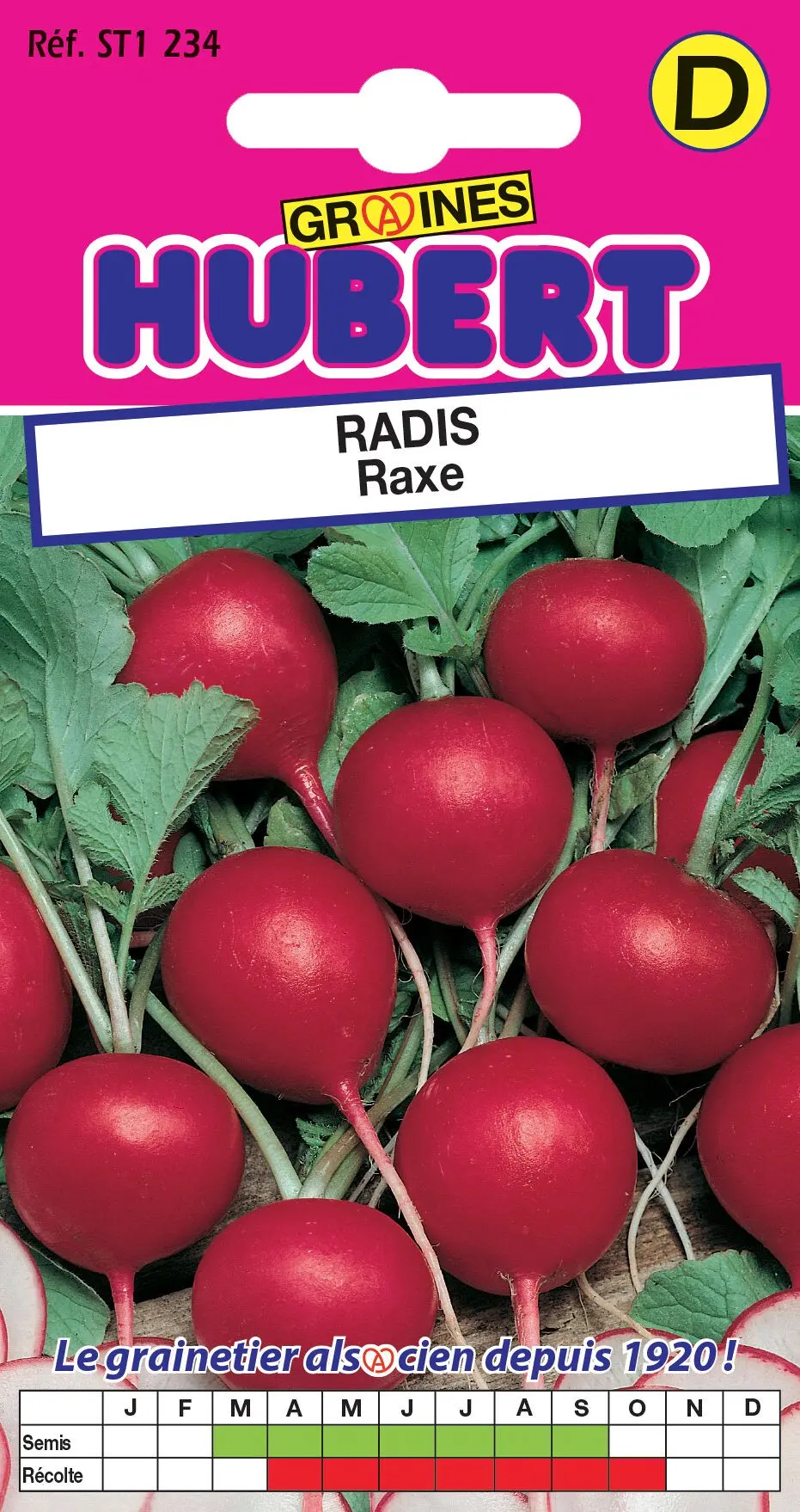 Buy wholesale Raxe Radish Seeds - 8 Gram Bag