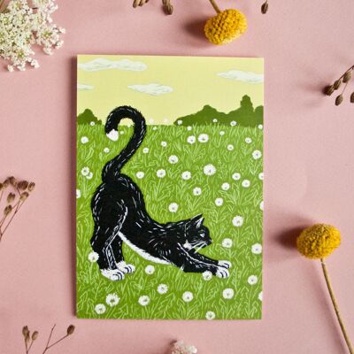 Postal A6, gato en un prado de dientes de león
