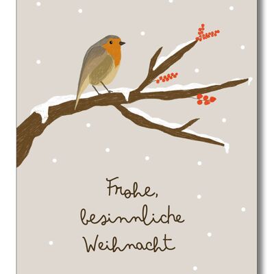Robin Christmas