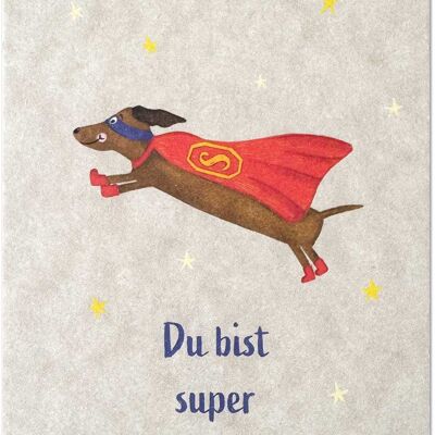 Supereroe bassotto