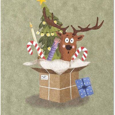 Christmas package