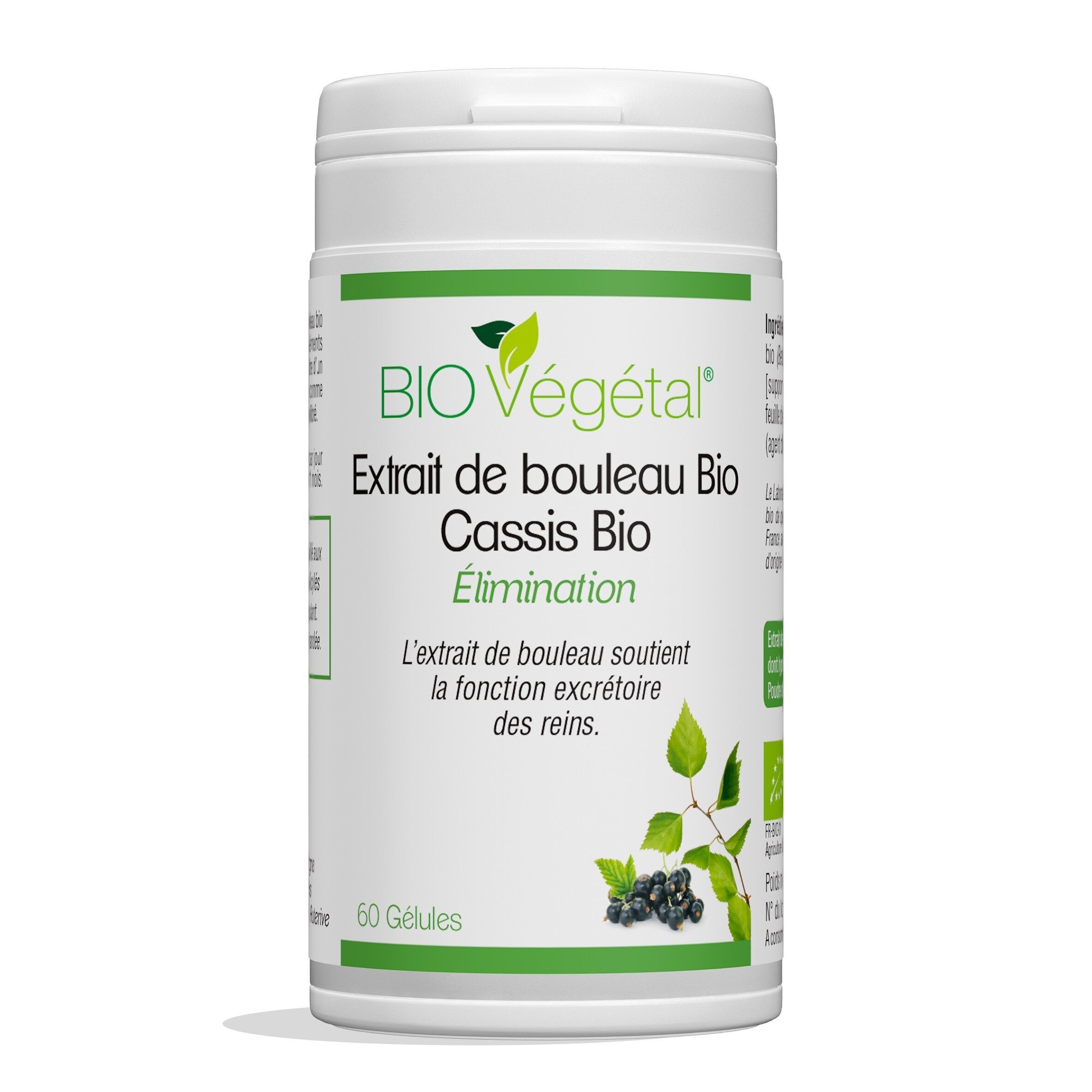 EXTRAIT DE BOULEAU/CASSIS BIO