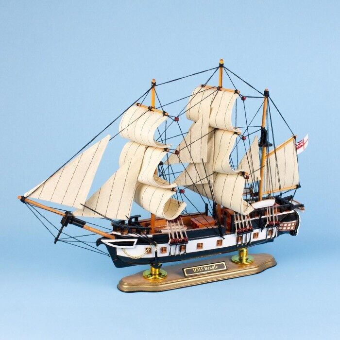 HMS Beagle, 46 cm