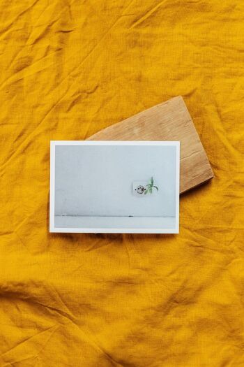 Carte postale simple avec enveloppe Plante s’invitant en intérieur 1