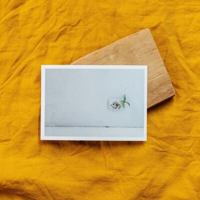 Simple postcard with envelope Plant inviting itself indoors