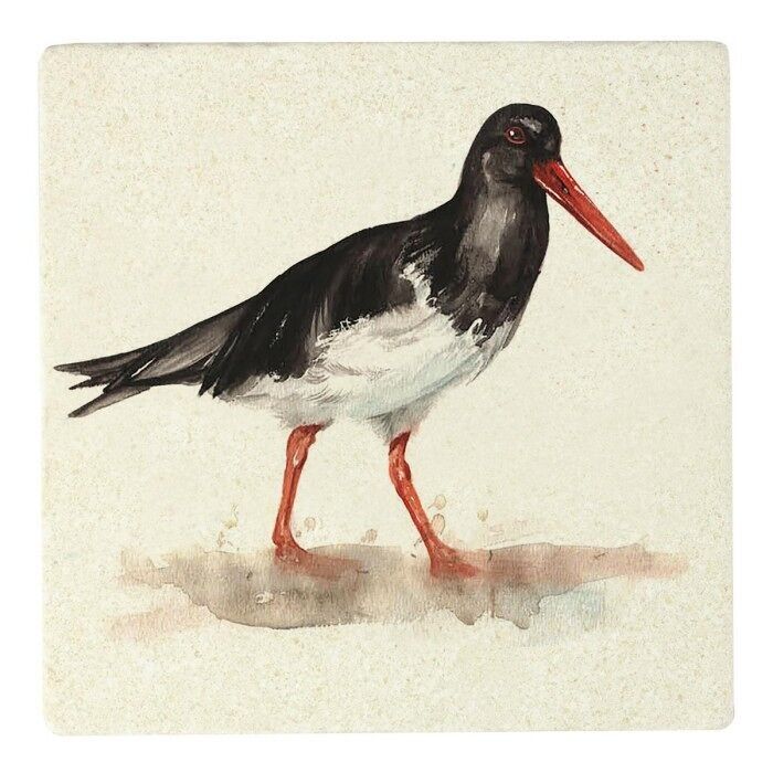 Sottobicchiere in pietra Oystercatcher di Meg Hawkins