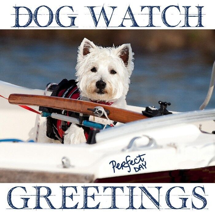 Biglietto d'auguri - Dog Watch