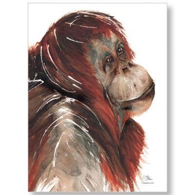 Meg Hawkins Torchon Orang-outan