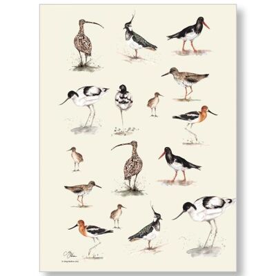 Paño de cocina Meg Hawkins Waders