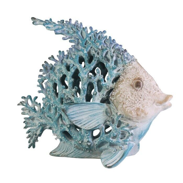 Creature coralline - Pesce angelo, 28 cm